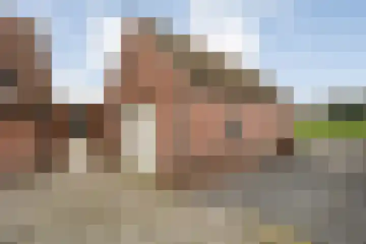 Sportparklaan 17 Schoonoord thumbnail 44