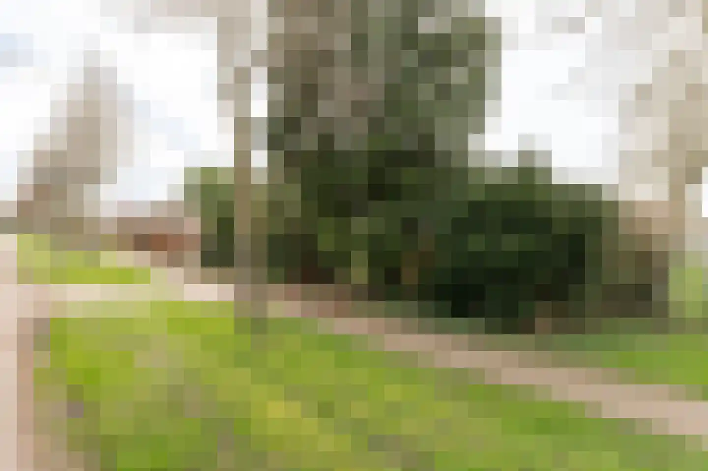 Sportparklaan 19 Tiel thumbnail 12