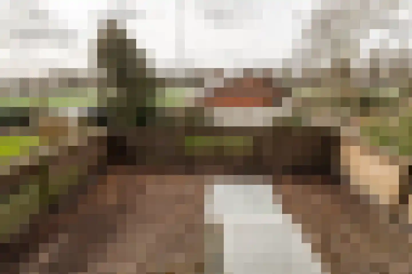 Sportparklaan 19 Tiel thumbnail 31