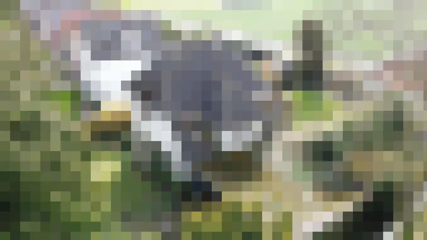 Sportparklaan 19 Tiel thumbnail 34