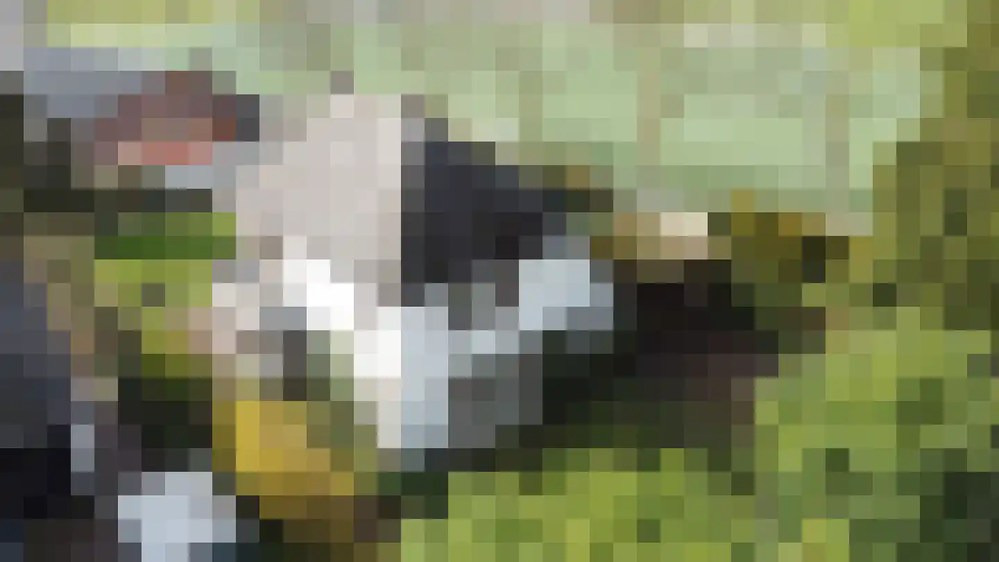Sportparklaan 19 Tiel thumbnail 35