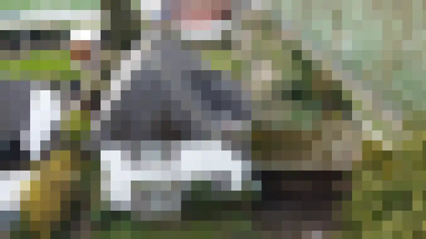 Sportparklaan 19 Tiel thumbnail 36
