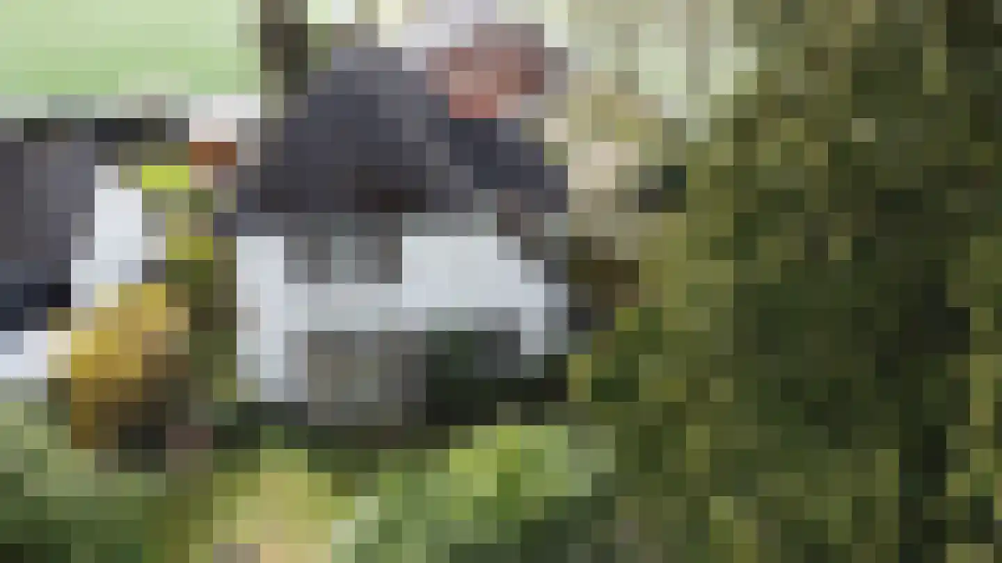 Sportparklaan 19 Tiel thumbnail 38