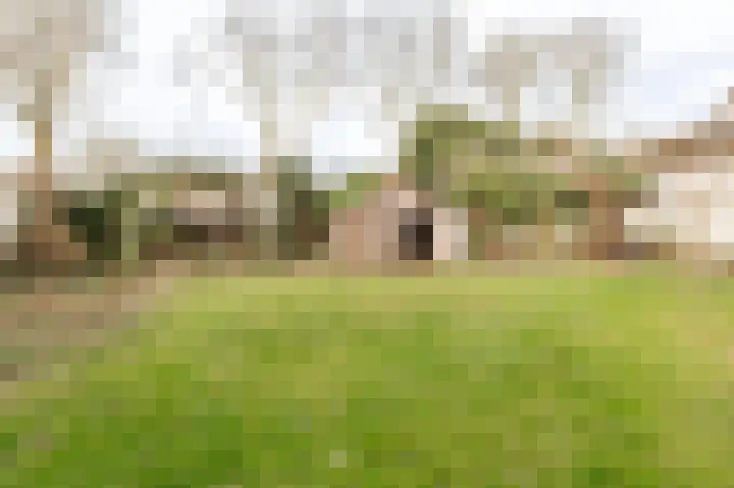 Sportparklaan 19 Tiel thumbnail 7