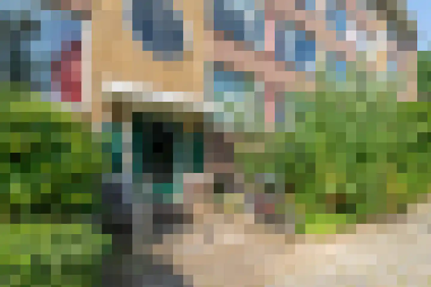 Sportparklaan 195 Weesp thumbnail 4
