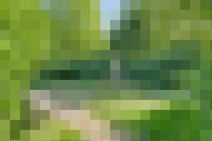 Sportparklaan 205 Weesp thumbnail 19