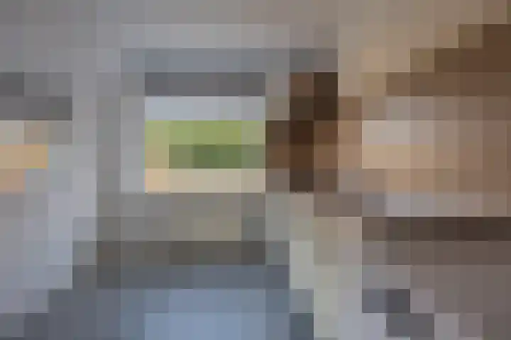 Sportparklaan 21 Schoonoord thumbnail 7