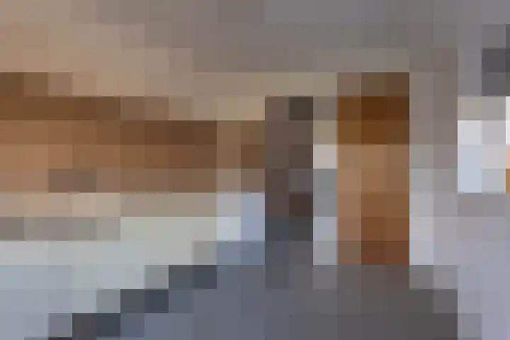 Sportparklaan 21 Schoonoord thumbnail 8