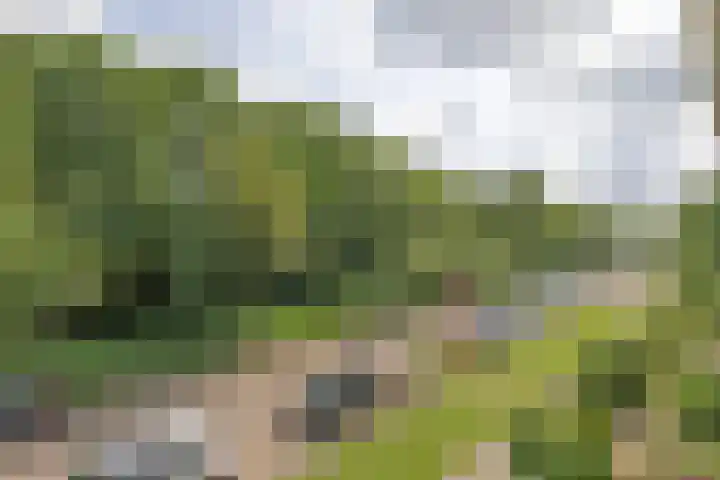 Sportparklaan 251 Weesp thumbnail 16