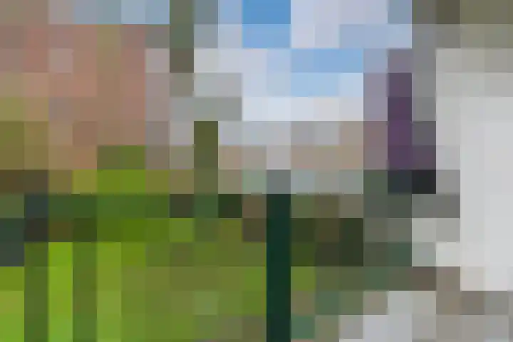 Sportparklaan 305 Weesp thumbnail 4