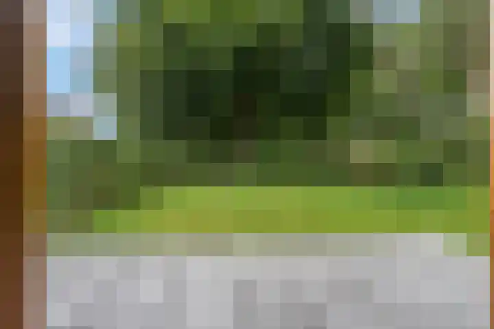 Sportparklaan 37 Tiel thumbnail 49