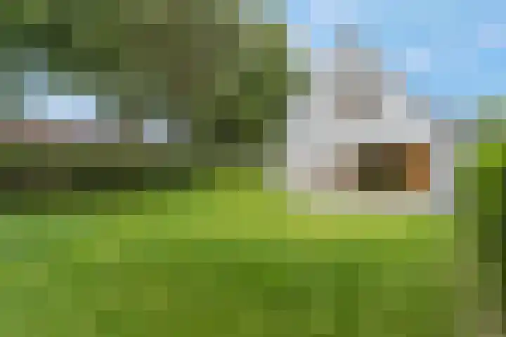Sportparklaan 37 Tiel thumbnail 52
