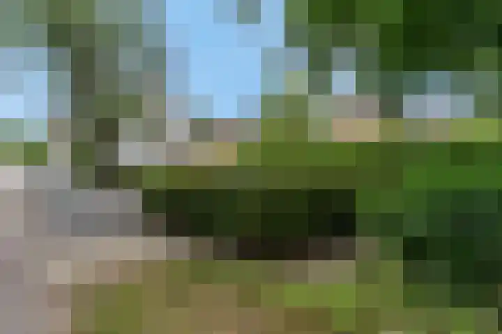 Sportparklaan 37 Tiel thumbnail 63