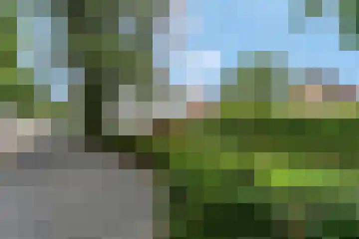 Sportparklaan 37 Tiel thumbnail 64