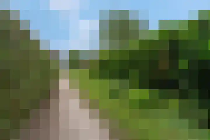Sportparklaan 37 Tiel thumbnail 66