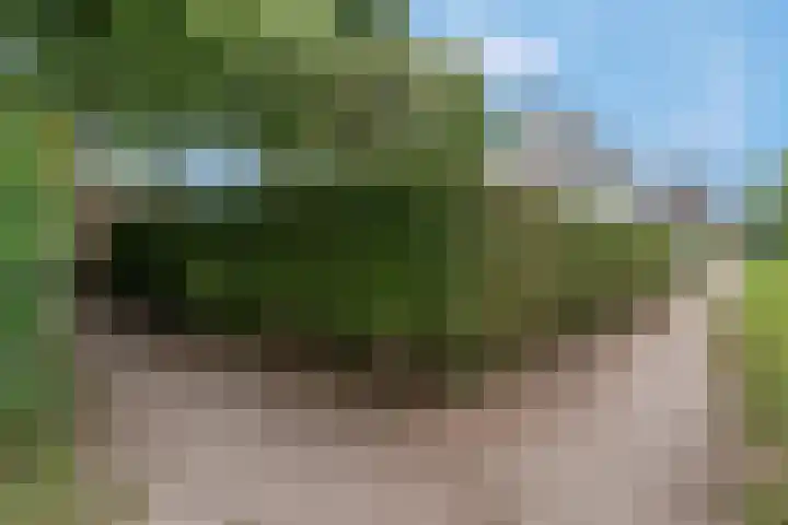 Sportparklaan 37 Tiel thumbnail 67