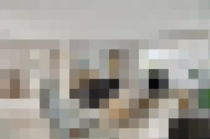 Sportparklaan 8 Heel thumbnail 13