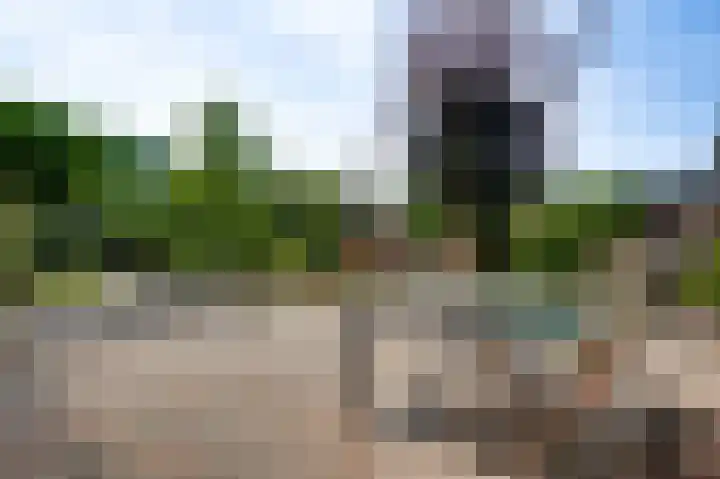 Sportparklaan 8 Heel thumbnail 31