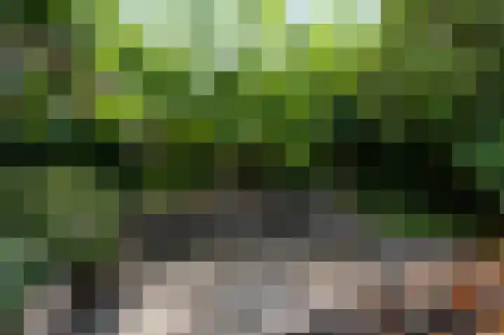 Sportparklaan 8 Heel thumbnail 35