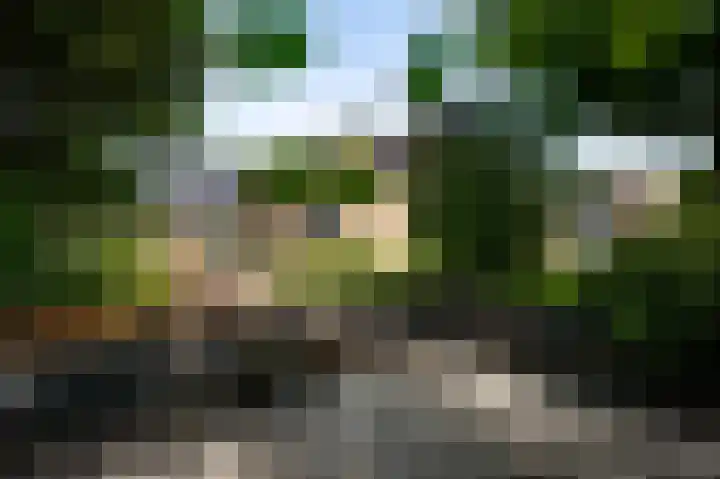 Sportparklaan 8 Heel thumbnail 36
