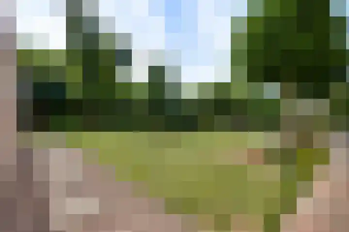 Sportparklaan 8 Heel thumbnail 38