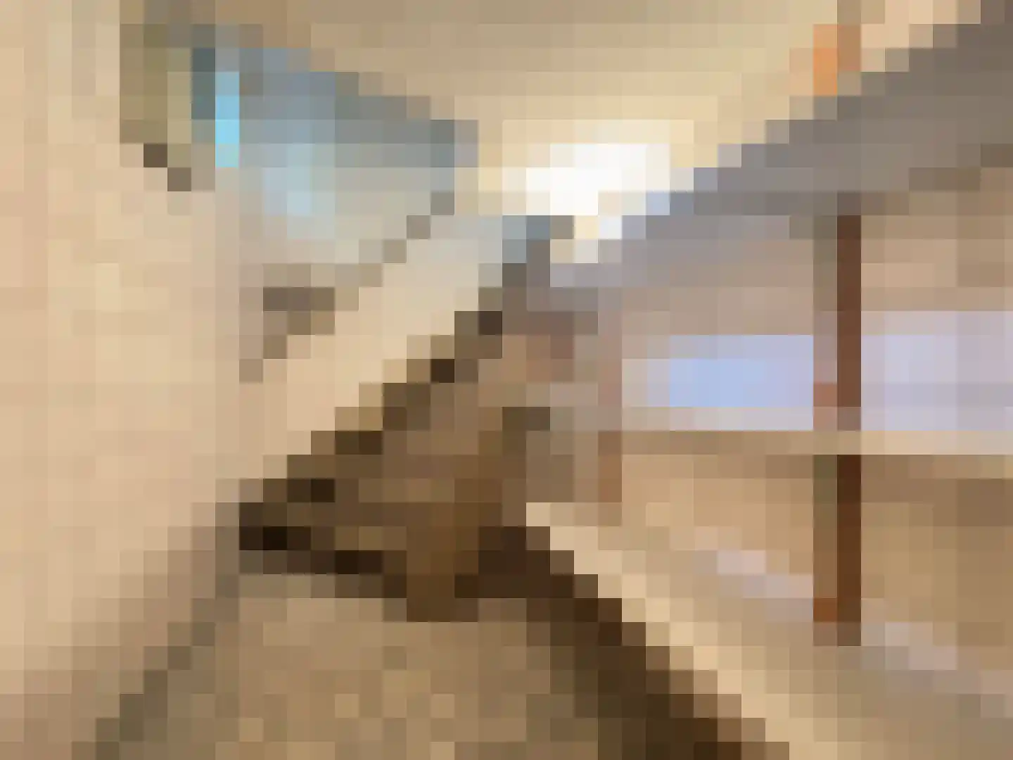 Sportparkstraat 12 Bladel thumbnail 11