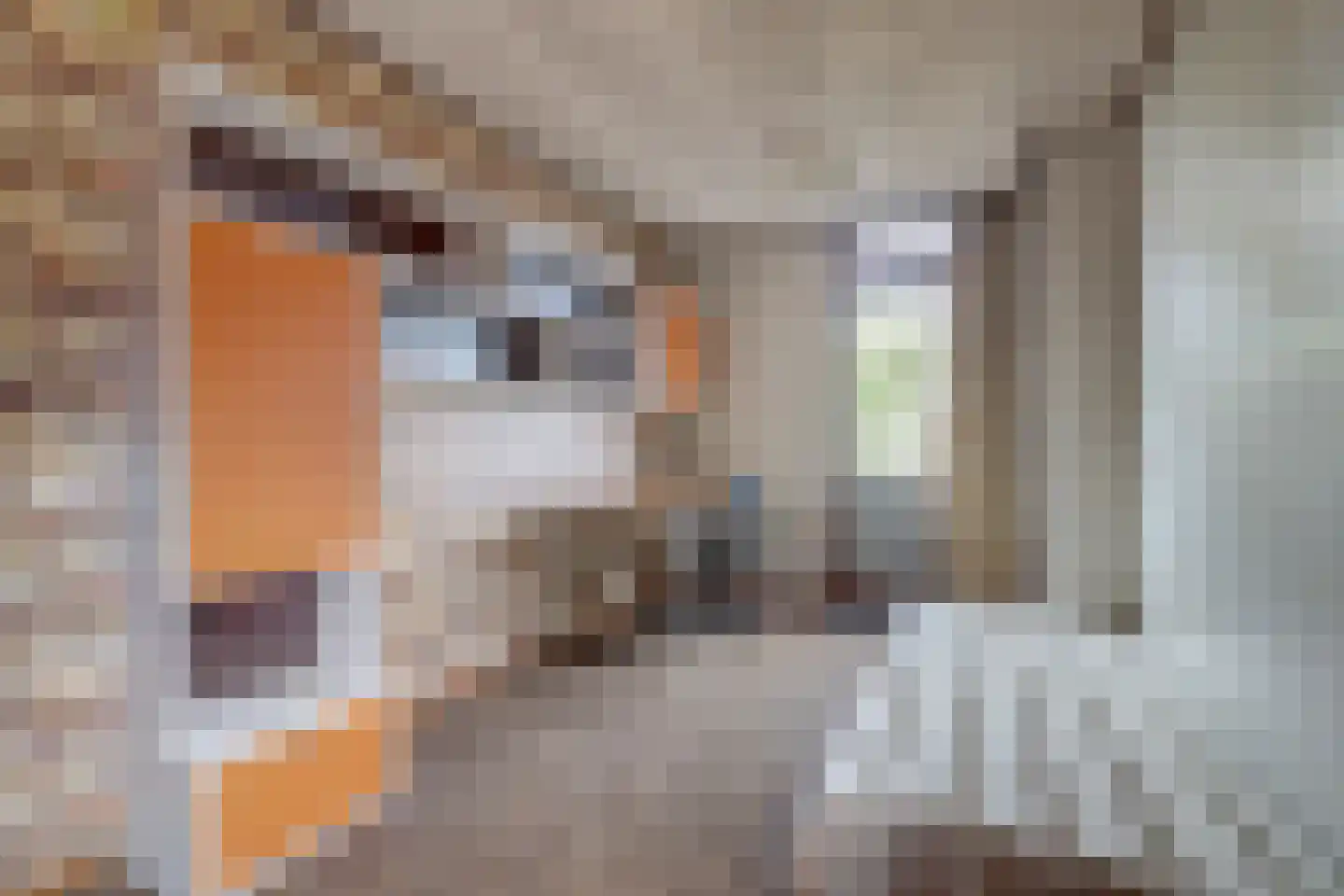 Sportparkstraat 5 Voorthuizen thumbnail 35