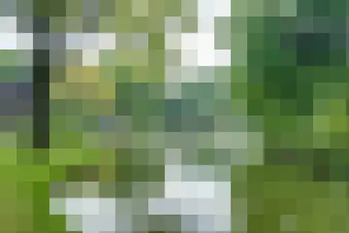 Sportparkweg 14 H212 Laren thumbnail 17