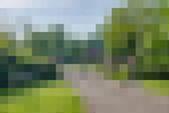 Sportparkweg 14 H212 Laren thumbnail 18