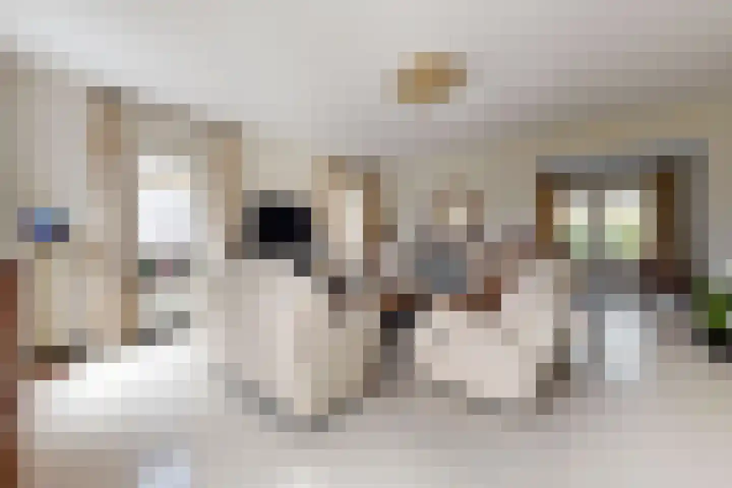 Sportring 3 Fijnaart thumbnail 10