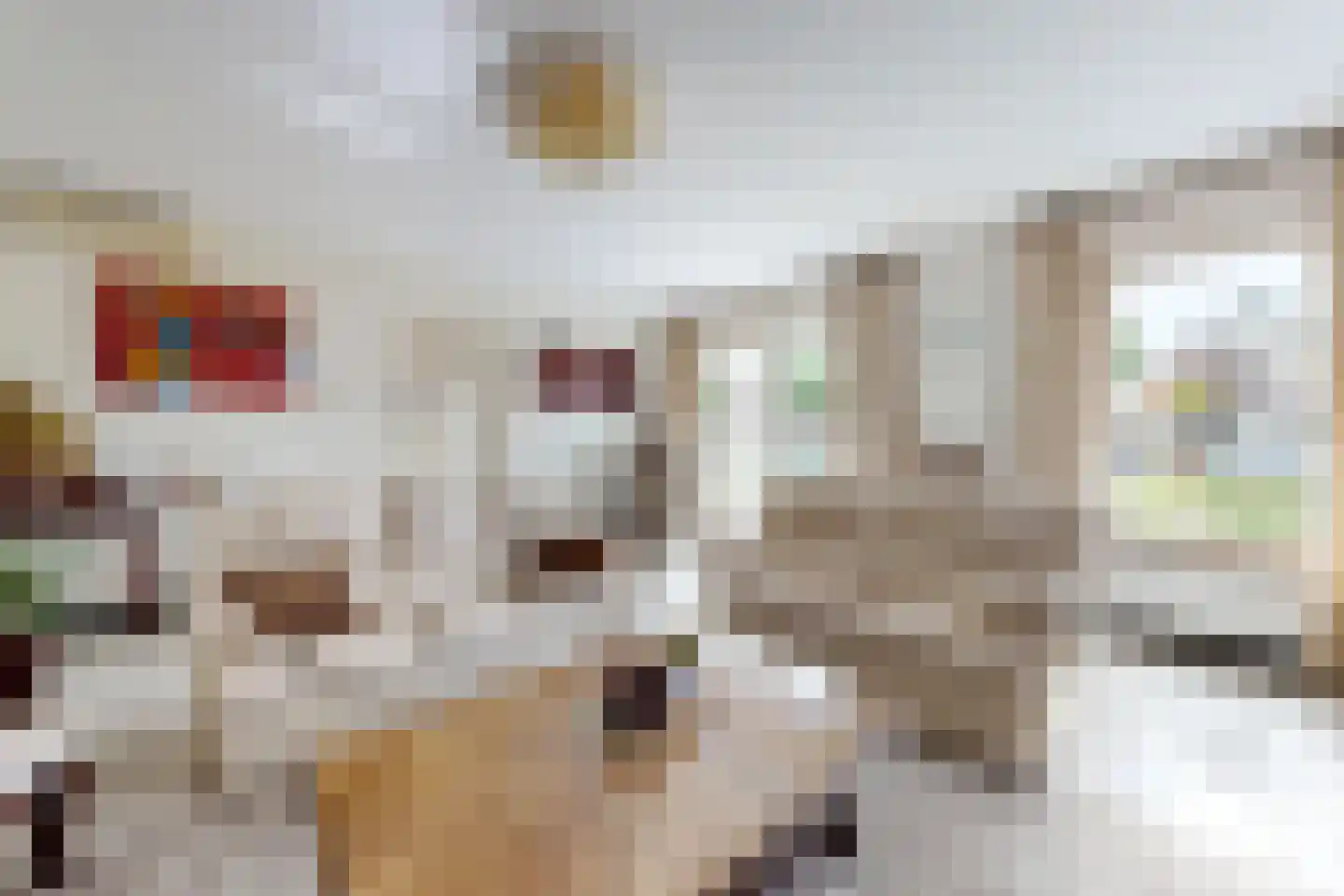 Sportring 3 Fijnaart thumbnail 14