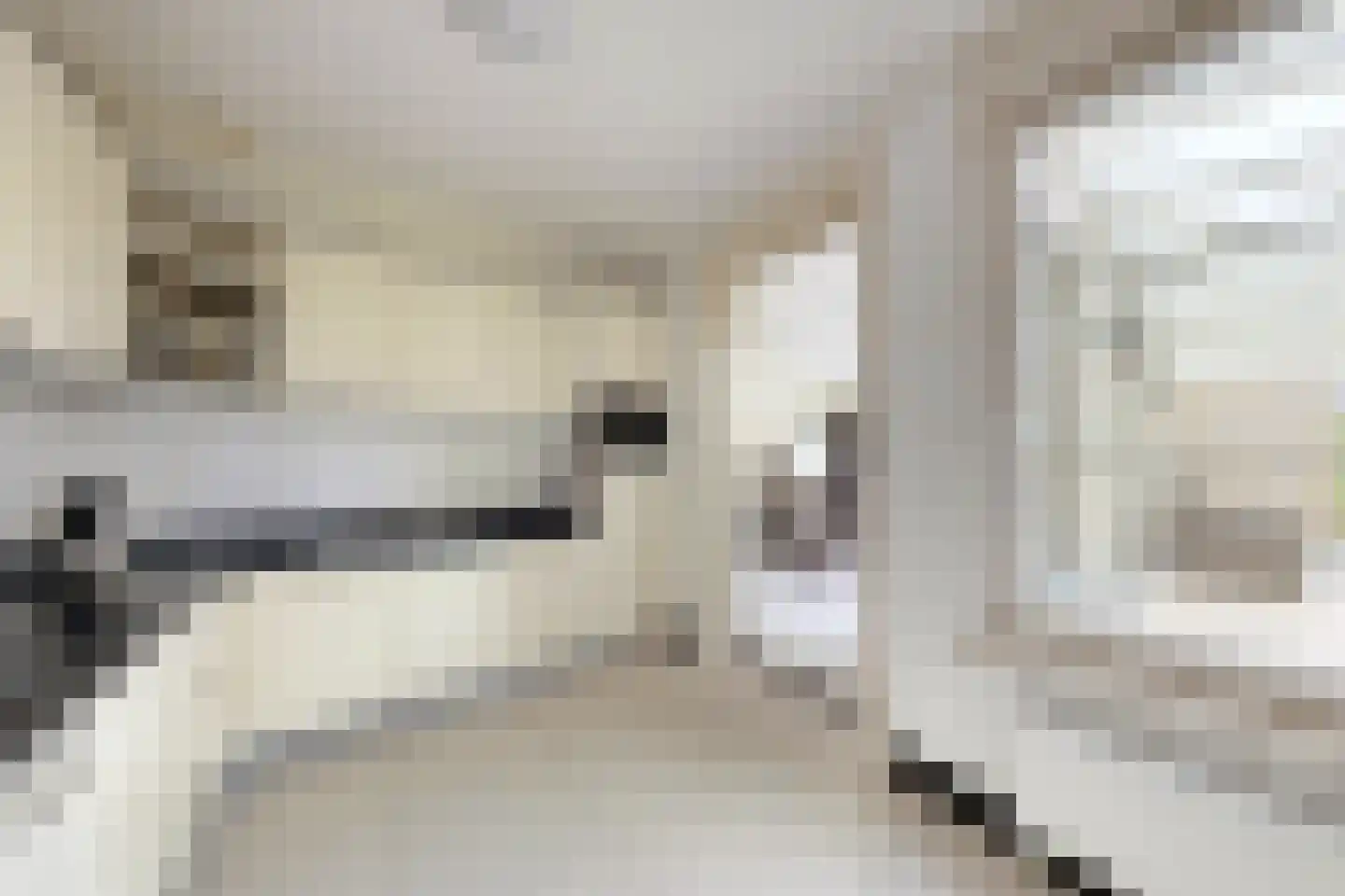 Sportring 3 Fijnaart thumbnail 23
