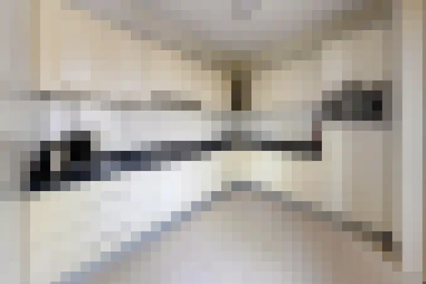 Sportring 3 Fijnaart thumbnail 24