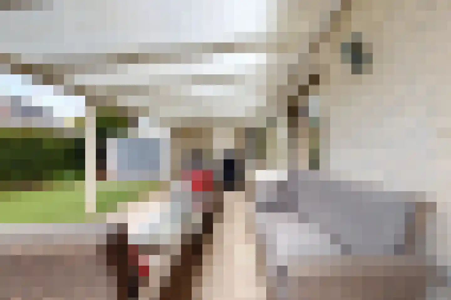 Sportring 3 Fijnaart thumbnail 48