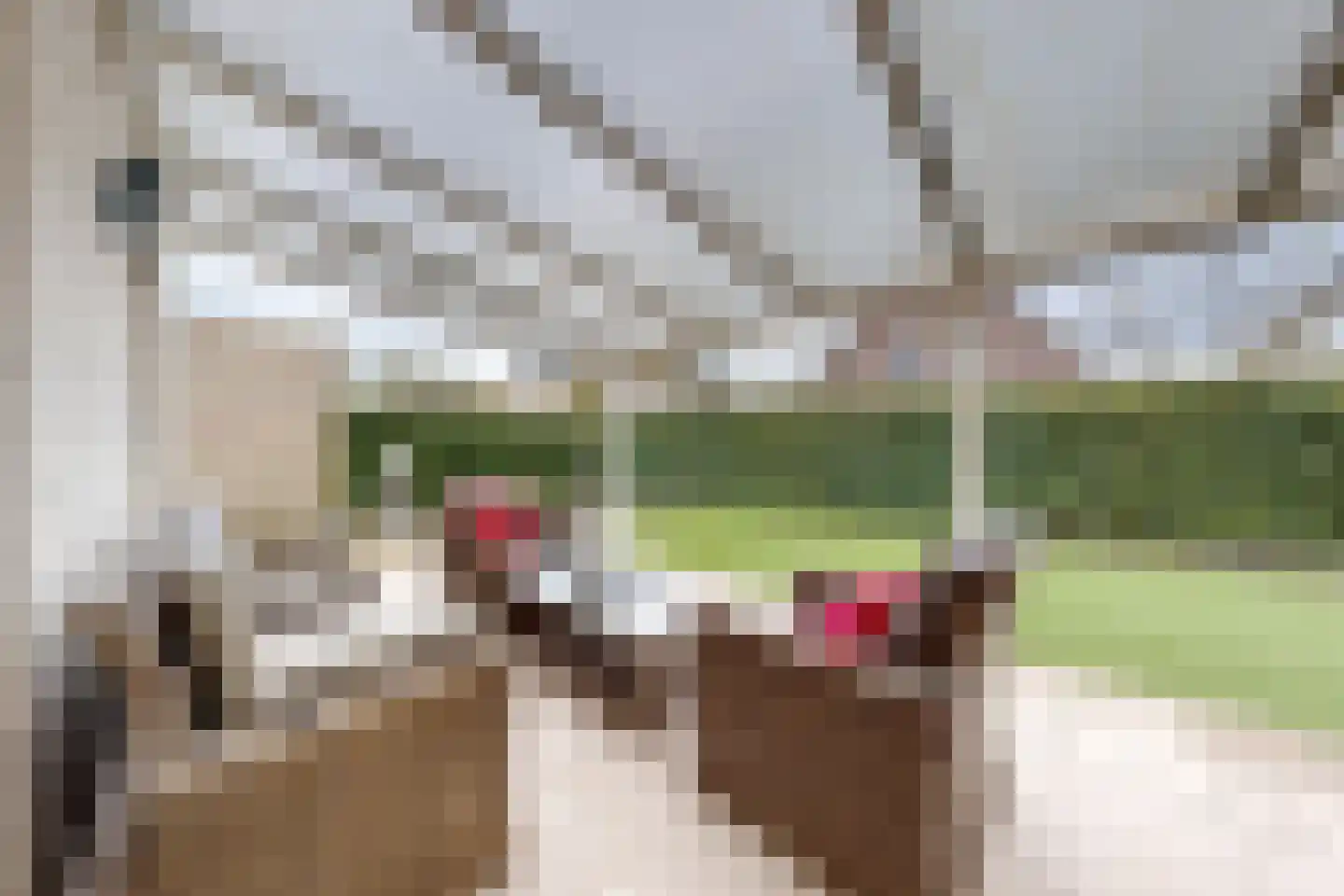 Sportring 3 Fijnaart thumbnail 49
