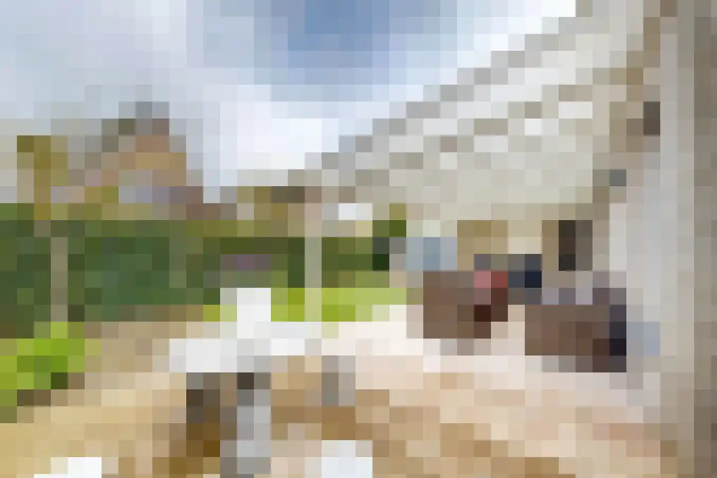 Sportring 3 Fijnaart thumbnail 50
