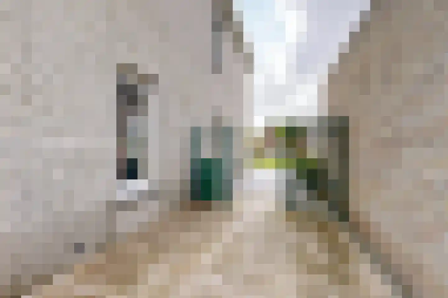 Sportring 3 Fijnaart thumbnail 54