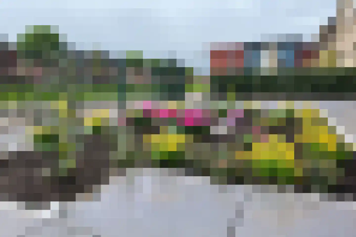 Sportring 3 Fijnaart thumbnail 56