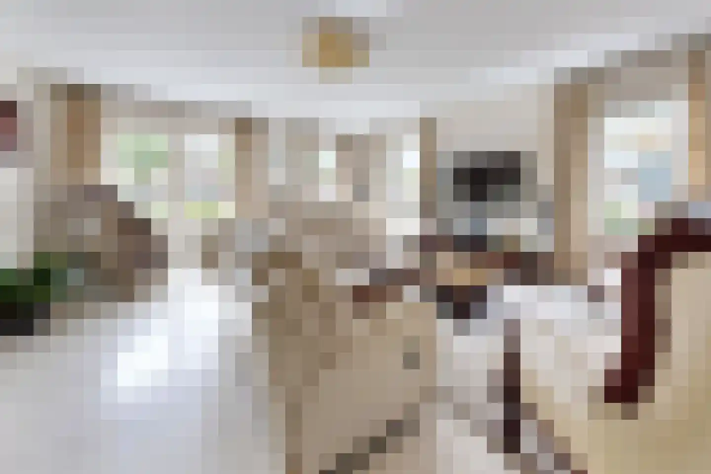 Sportring 3 Fijnaart thumbnail 9