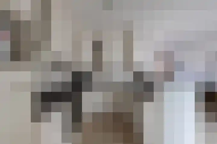 Sportsingel 10 Bant thumbnail 13