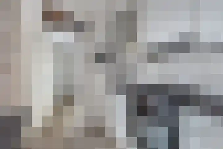 Sportsingel 10 Bant thumbnail 14