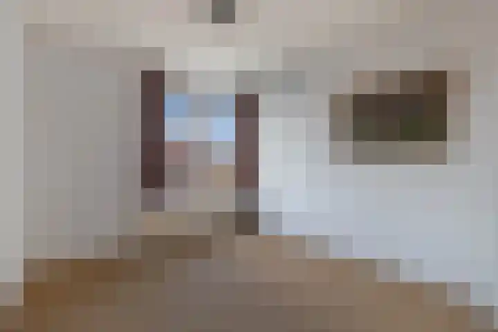 Sportsingel 10 Bant thumbnail 22