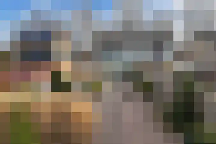 Sportsingel 10 Bant thumbnail 35
