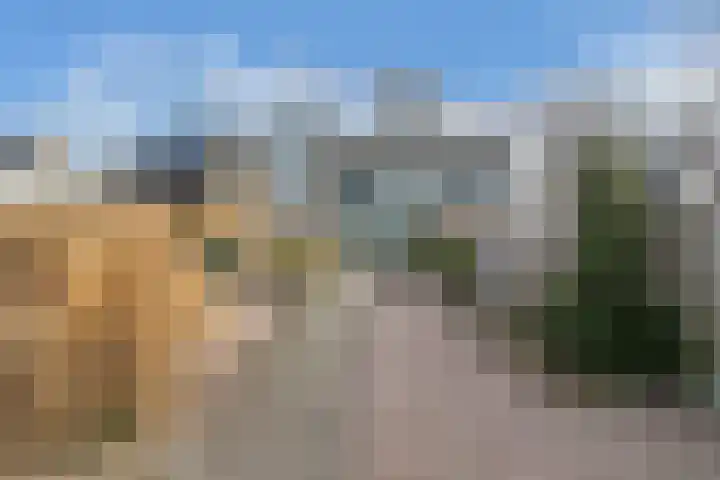 Sportsingel 10 Bant thumbnail 36