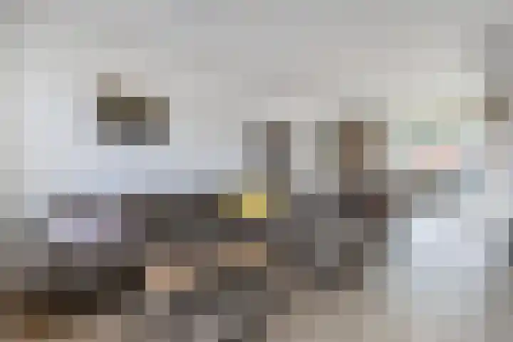 Sportsingel 10 Bant thumbnail 4