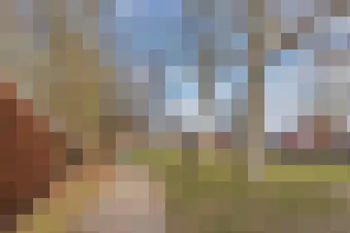 Sportsingel 10 Bant thumbnail 43
