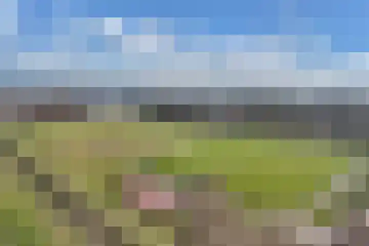 Sportsingel 10 Bant thumbnail 44