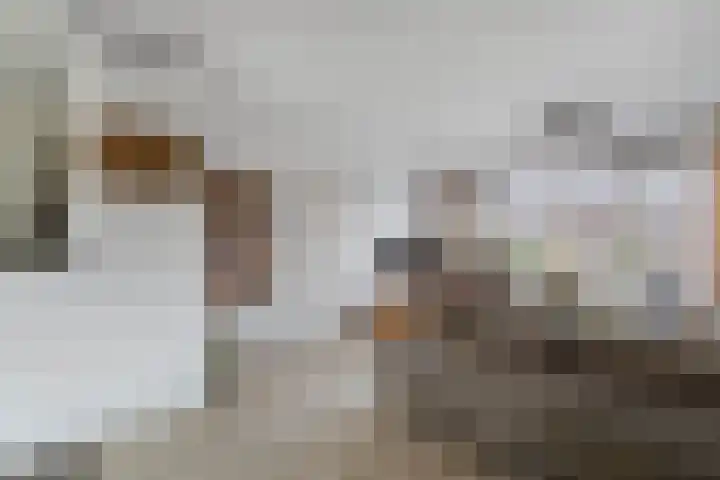 Sportsingel 10 Bant thumbnail 6