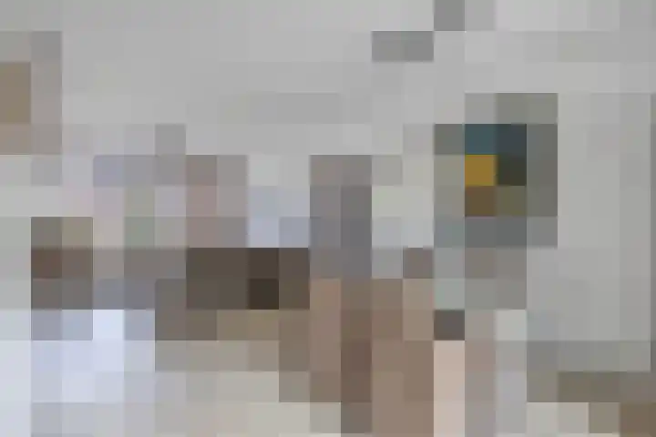 Sportsingel 10 Bant thumbnail 9