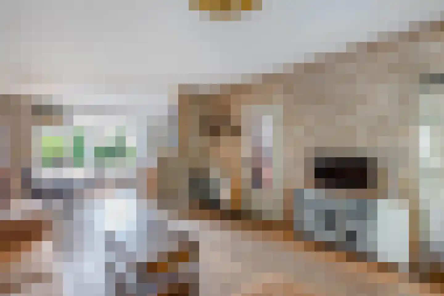 Sportsingel 18 Bant thumbnail 13